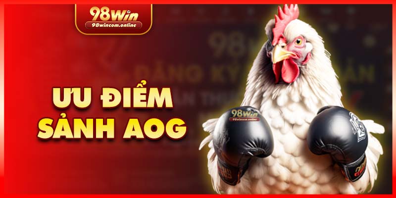 Những lý do giúp sảnh đá chọi AOG lấy được lòng tin của kê thủ